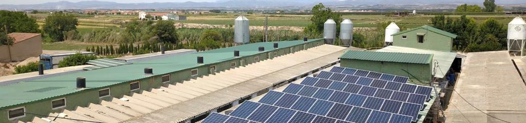 teulada de la granja amb els 62 moduls solars fotovoltaics instal·lats